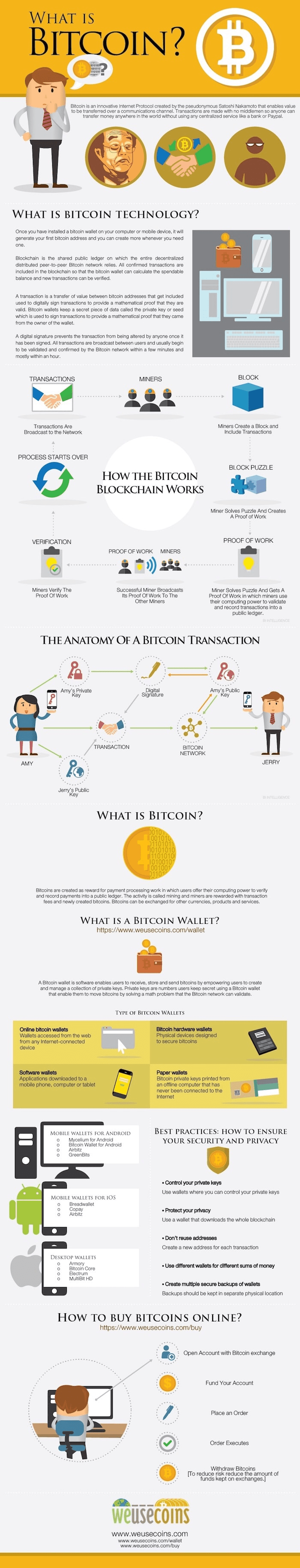 Bitcoin Infographic