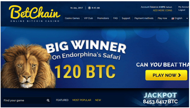 Betchain bitcoin poker