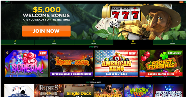 Six Online Casinos That Accept Bitcoin Cash- Wild Casino