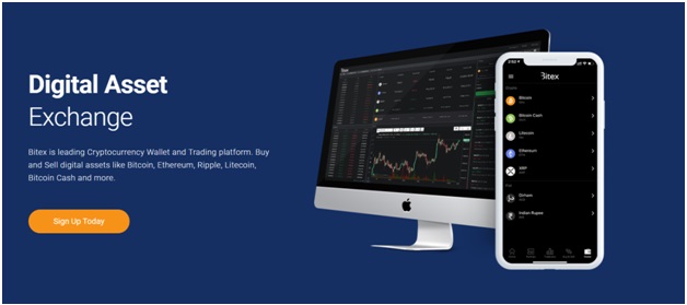 Bitex exchange