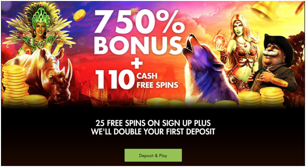 Rich Casino welcome bonus of 750%